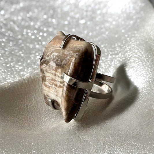 Petrified Wood Statement Ring