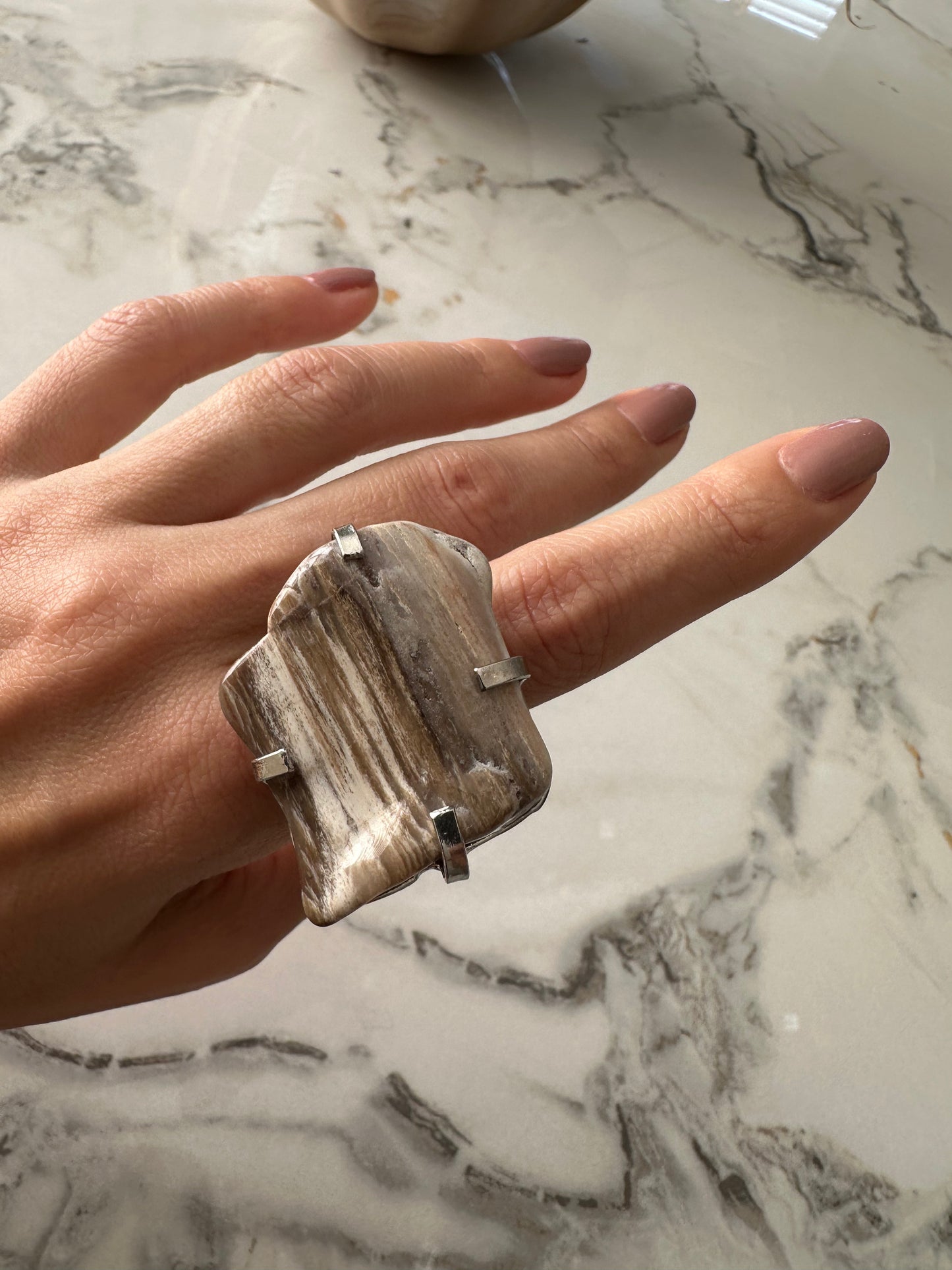 Petrified Wood Statement Ring