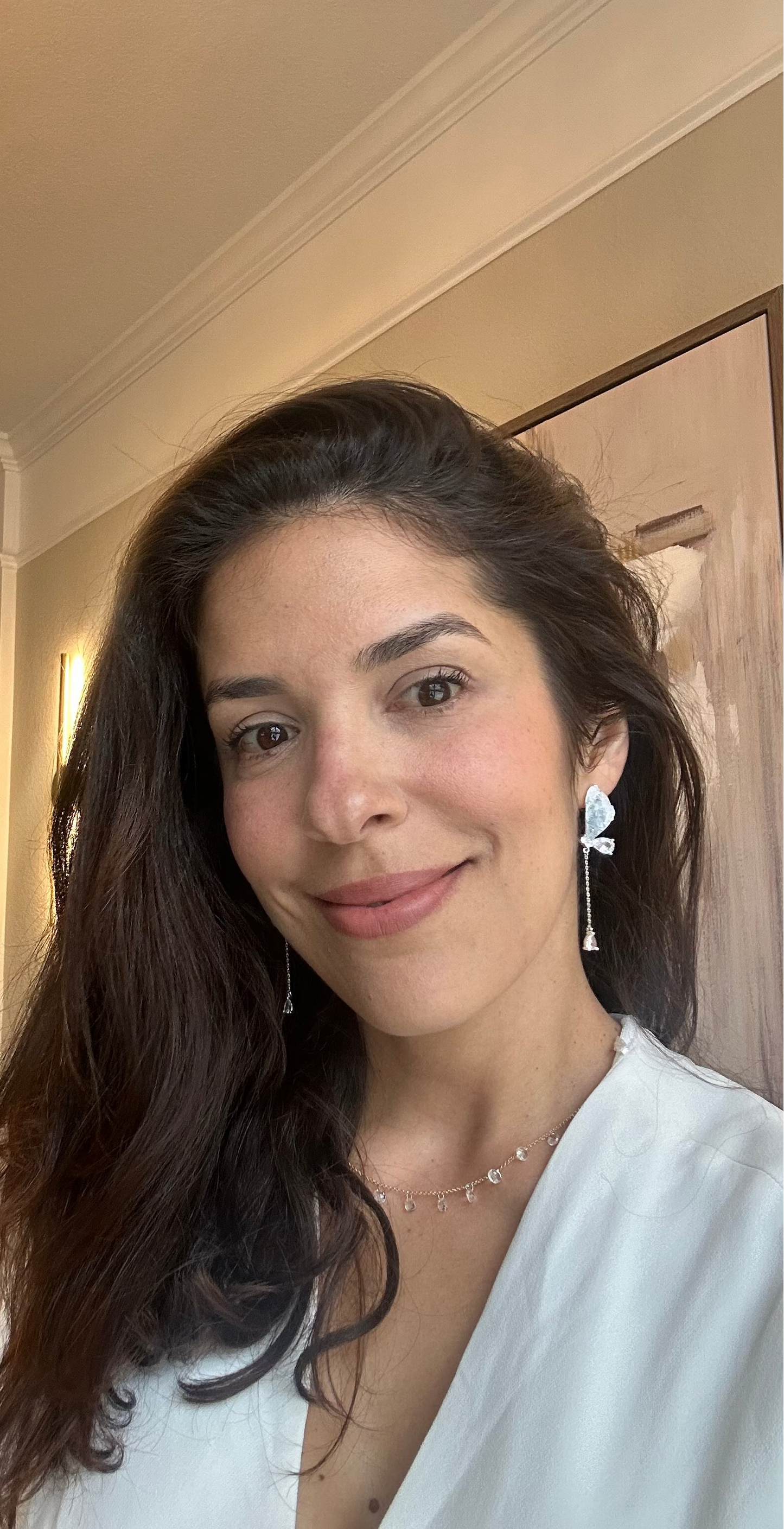 Agate Butterfly Earrings